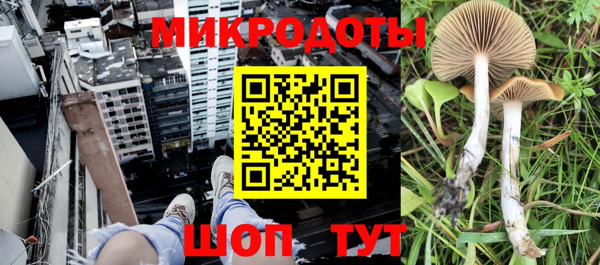 Галлюциногенные грибы MAGIC MUSHROOMS  купить  цена  Сосновоборск  Вход с VPN 